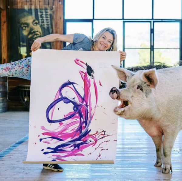 Пигкассо: свинья заработала более миллиона долларов на продаже собственных картин